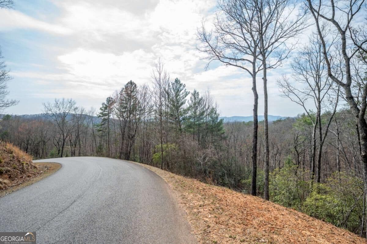 residential lot for sale at LOT 8 Oceola Drive, Ellijay, GA 30540 — photo 4