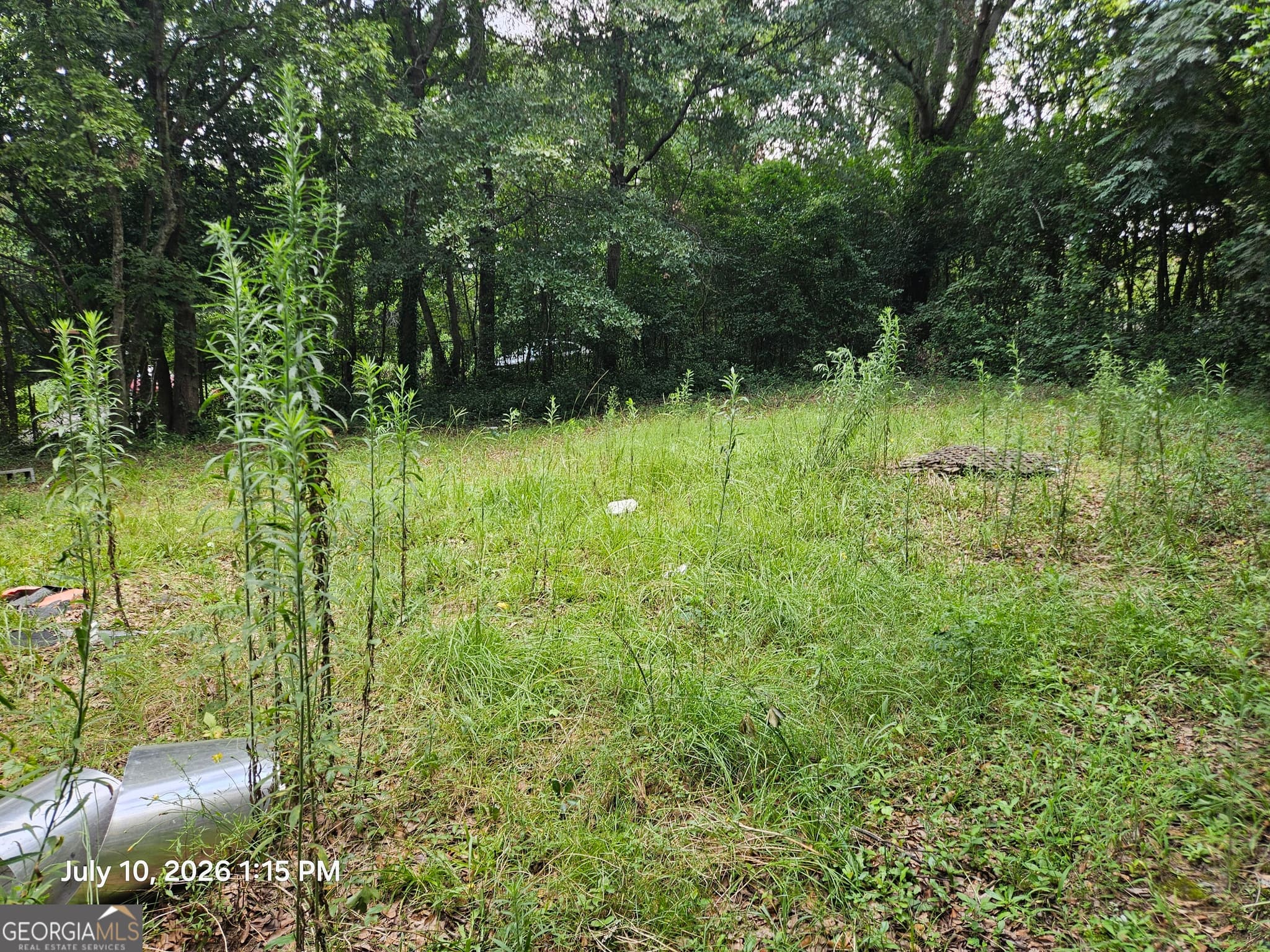 2 bedroom, 1 bathroom, 1,082 sq ft single family residence for sale at 4121 Forest Avenue, Macon, GA 31204 — photo 3