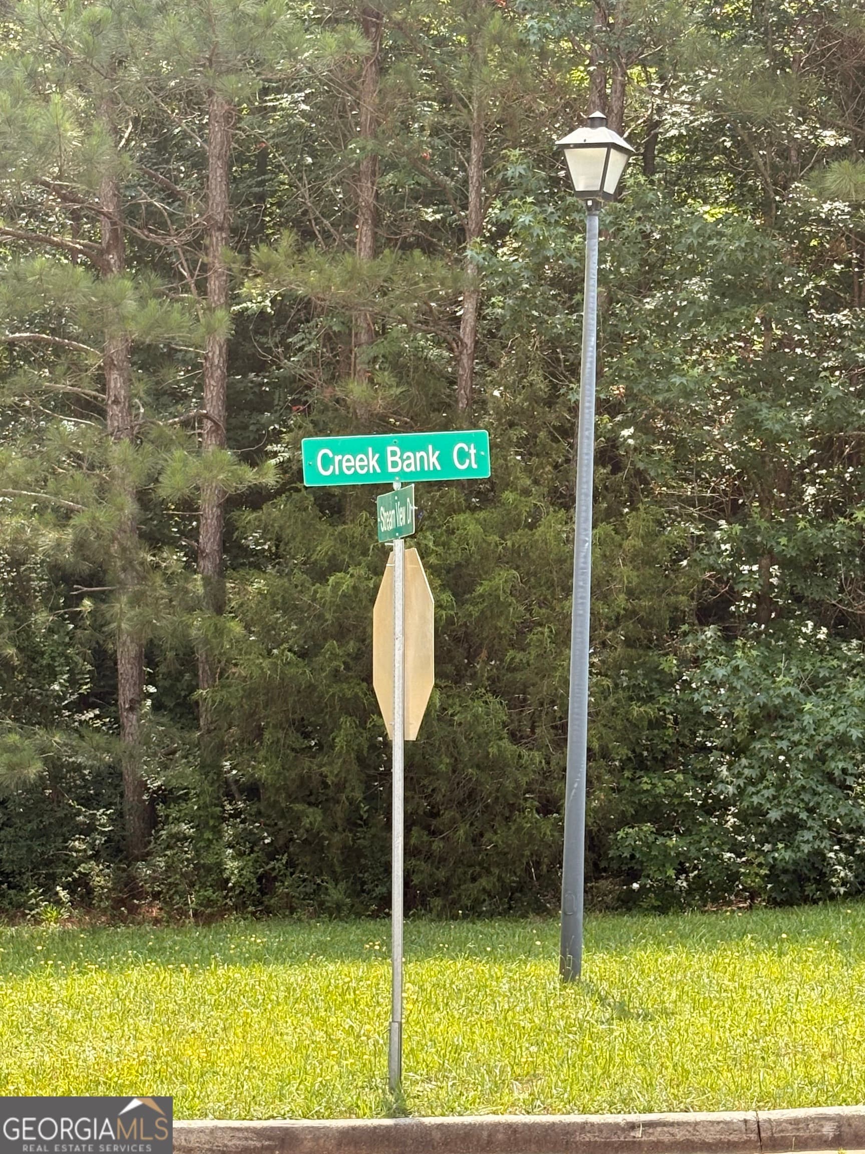 residential lot for sale at 2601 Creek Bank Court, Conyers, GA 30013 — photo 6