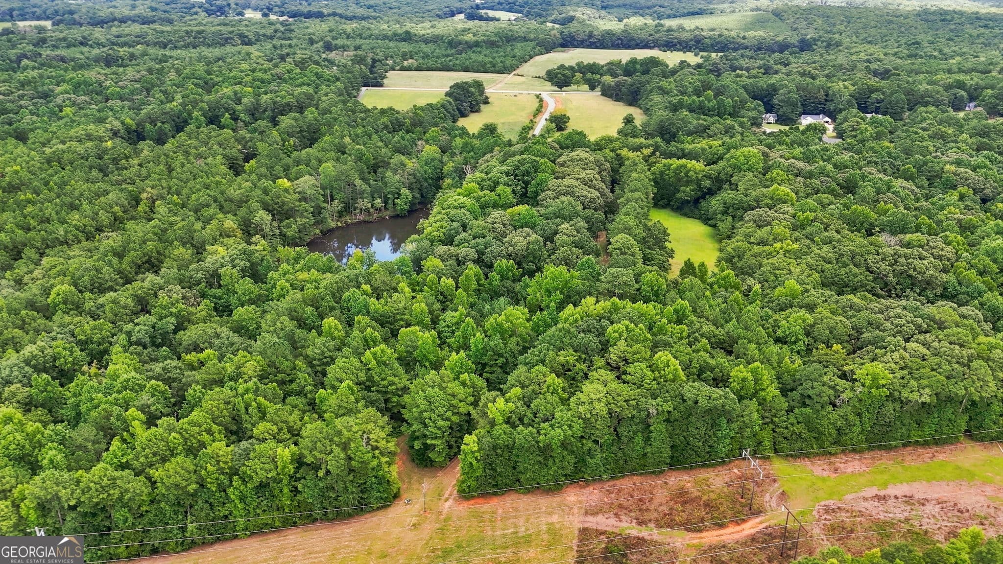 agriculture for sale at 212 Joe Lane Road, Jackson, GA 30233 — photo 2
