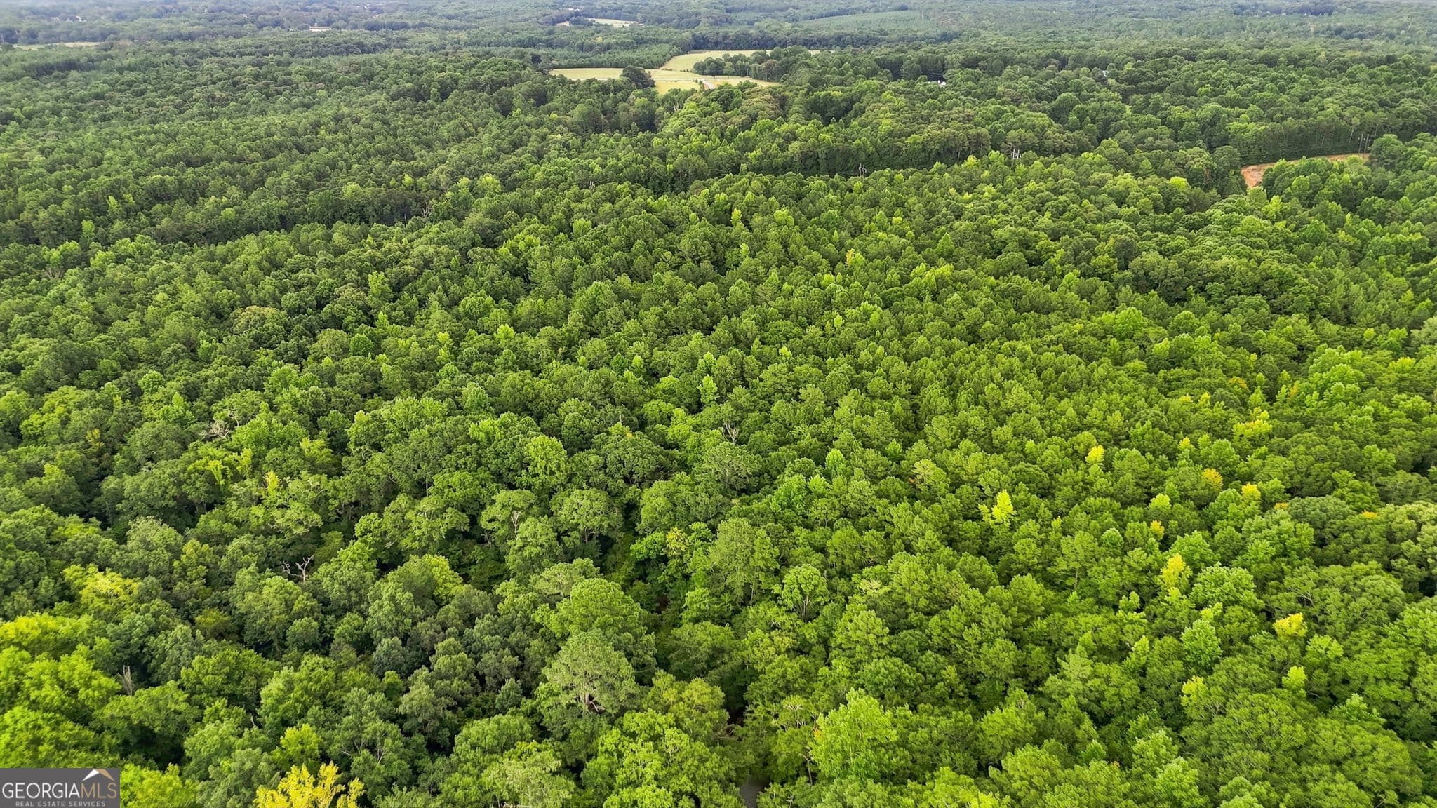 agriculture for sale at 212 Joe Lane Road, Jackson, GA 30233 — photo 7