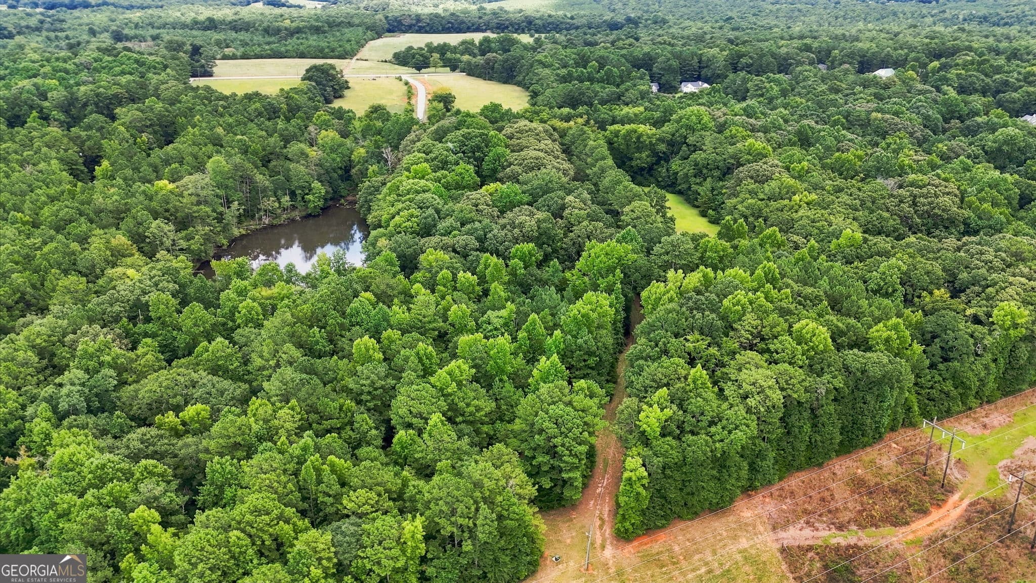agriculture for sale at 212 Joe Lane Road, Jackson, GA 30233 — photo 3