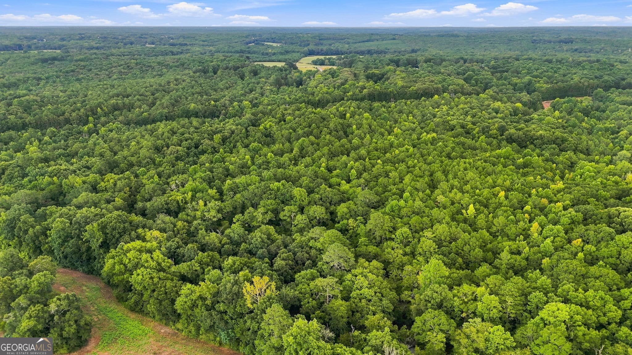 agriculture for sale at 212 Joe Lane Road, Jackson, GA 30233 — photo 9