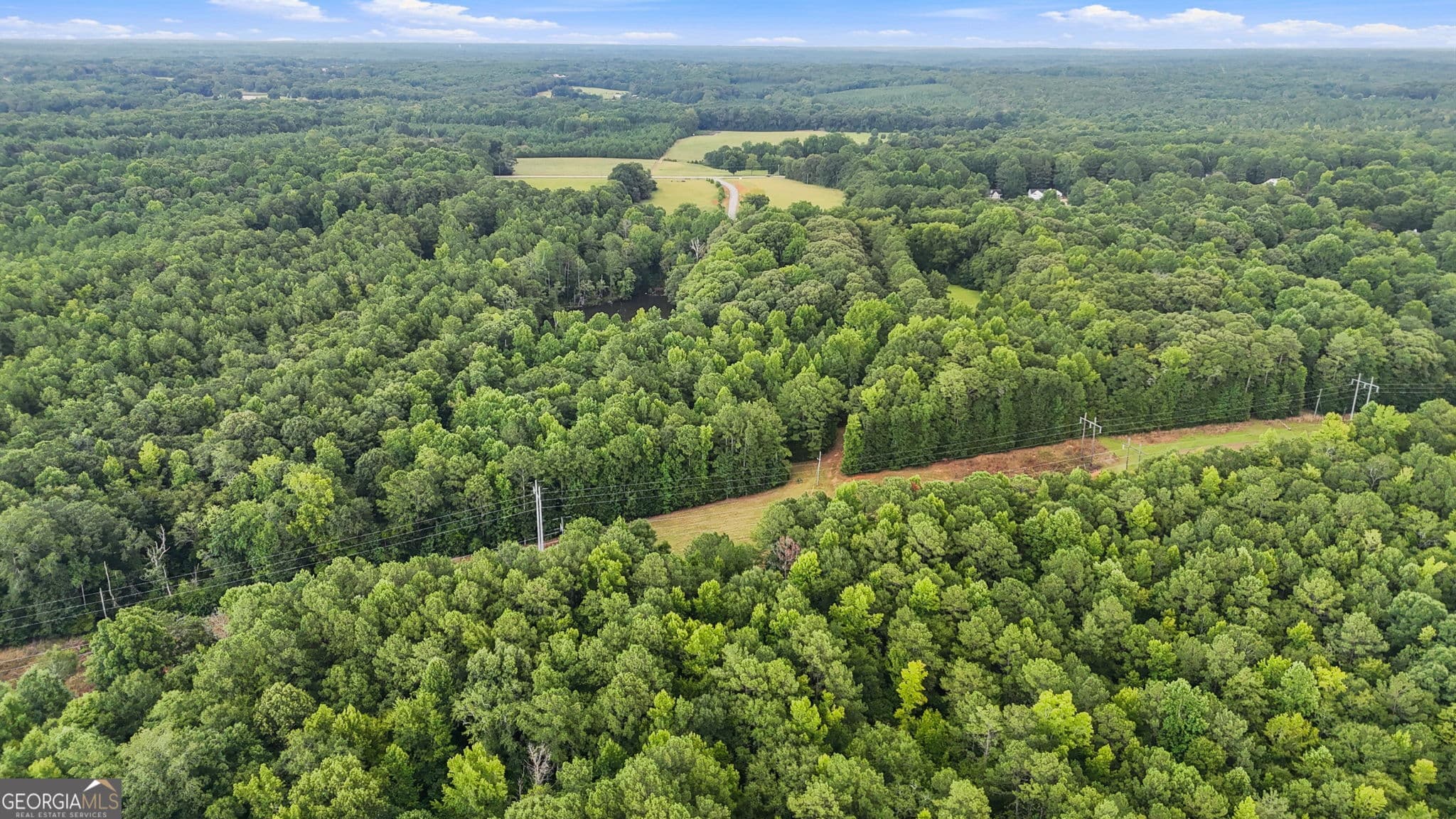 agriculture for sale at 212 Joe Lane Road, Jackson, GA 30233 — photo 10