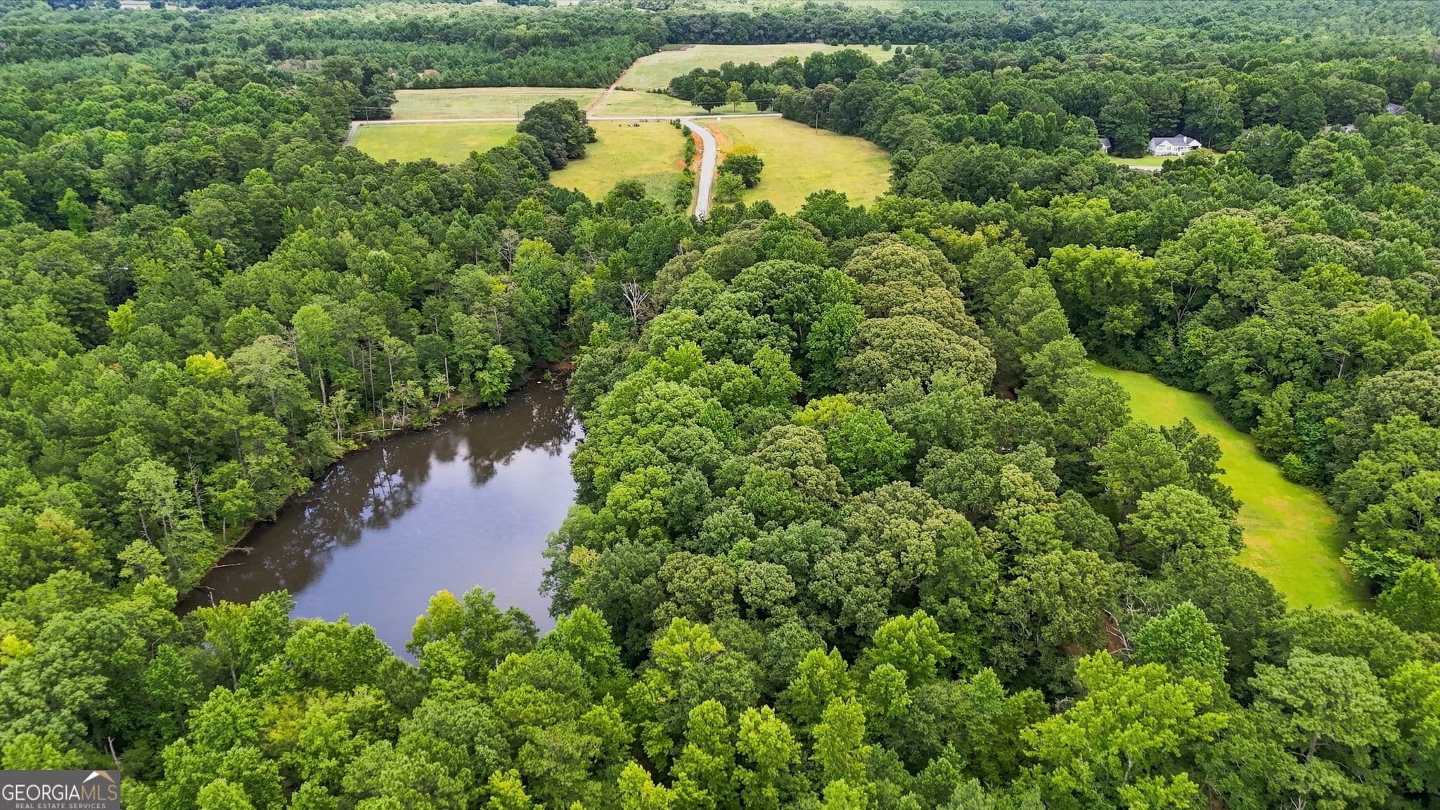 agriculture for sale at 212 Joe Lane Road, Jackson, GA 30233 — photo 4