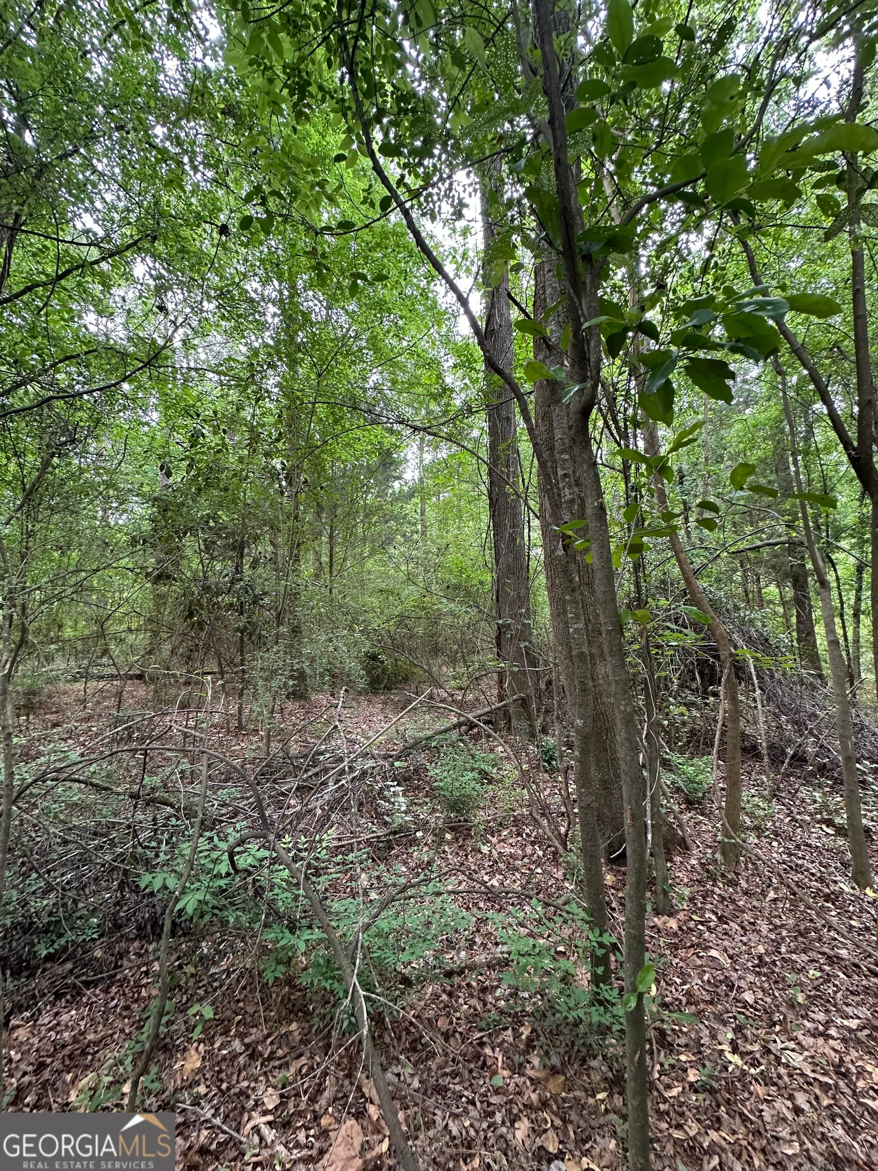 residential lot for sale at 0 W HAYNES Street, Sandersville, GA 31082 — photo 7