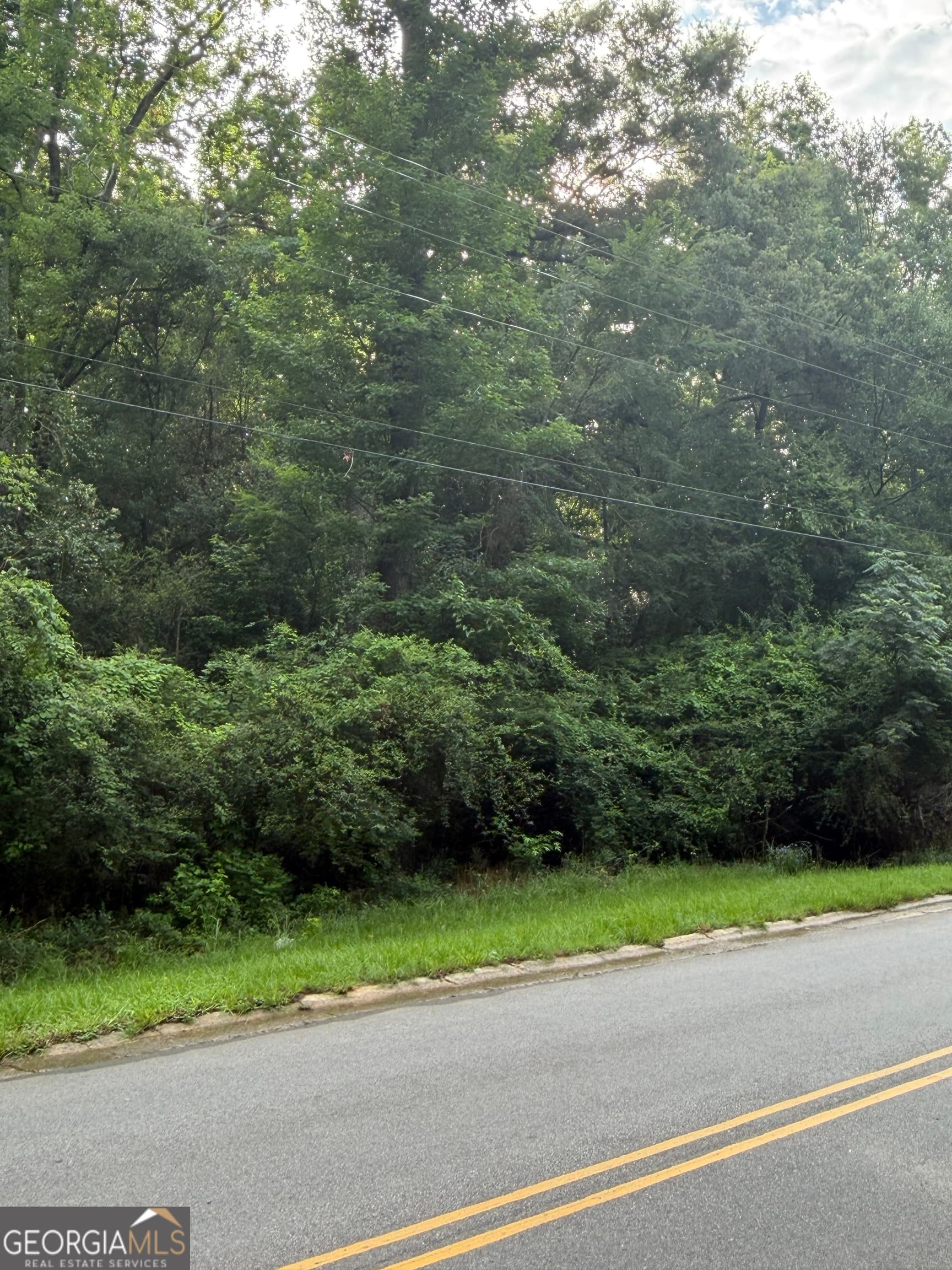 residential lot for sale at 0 W HAYNES Street, Sandersville, GA 31082 — photo 4