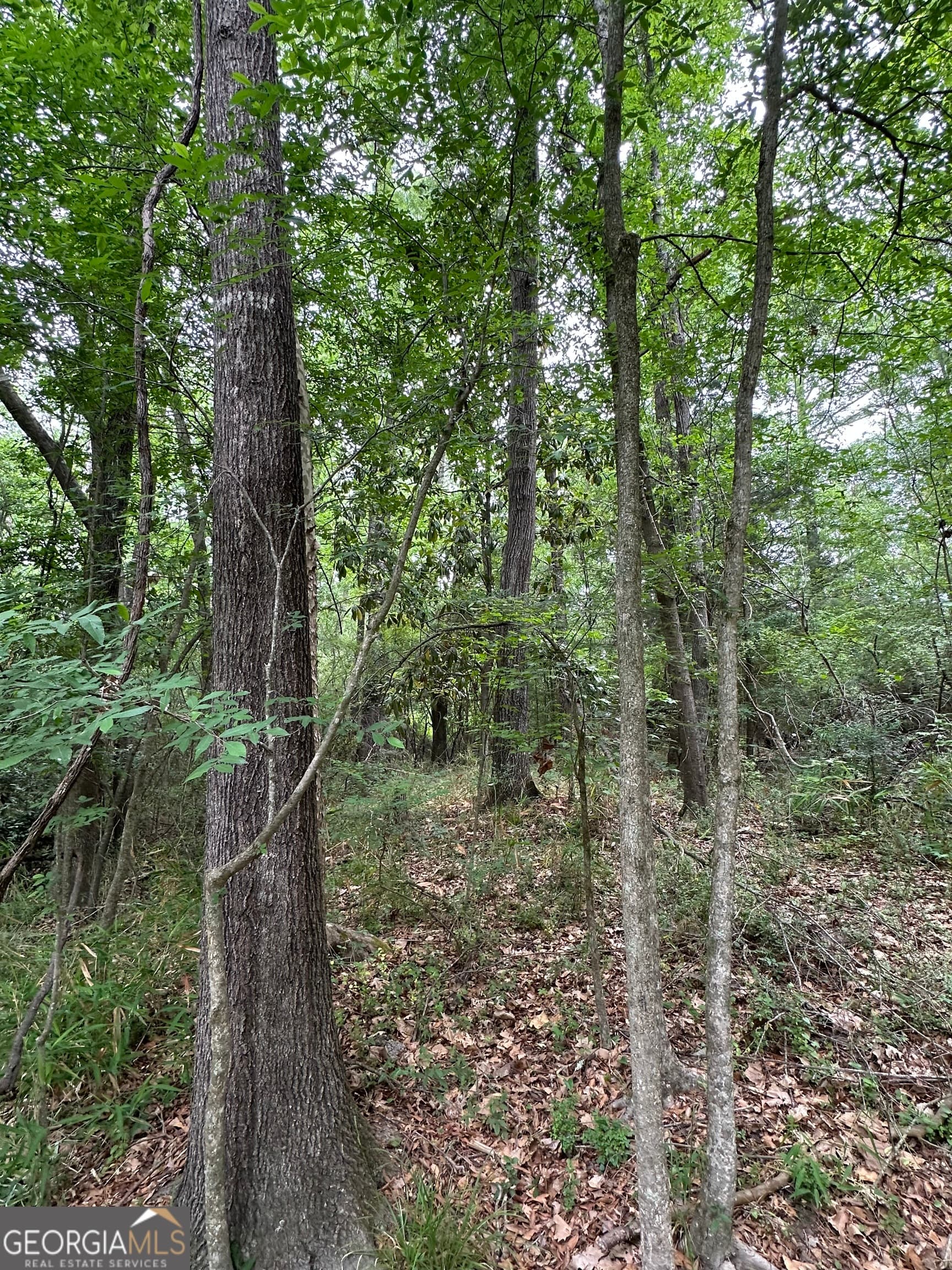residential lot for sale at 0 W HAYNES Street, Sandersville, GA 31082 — photo 8