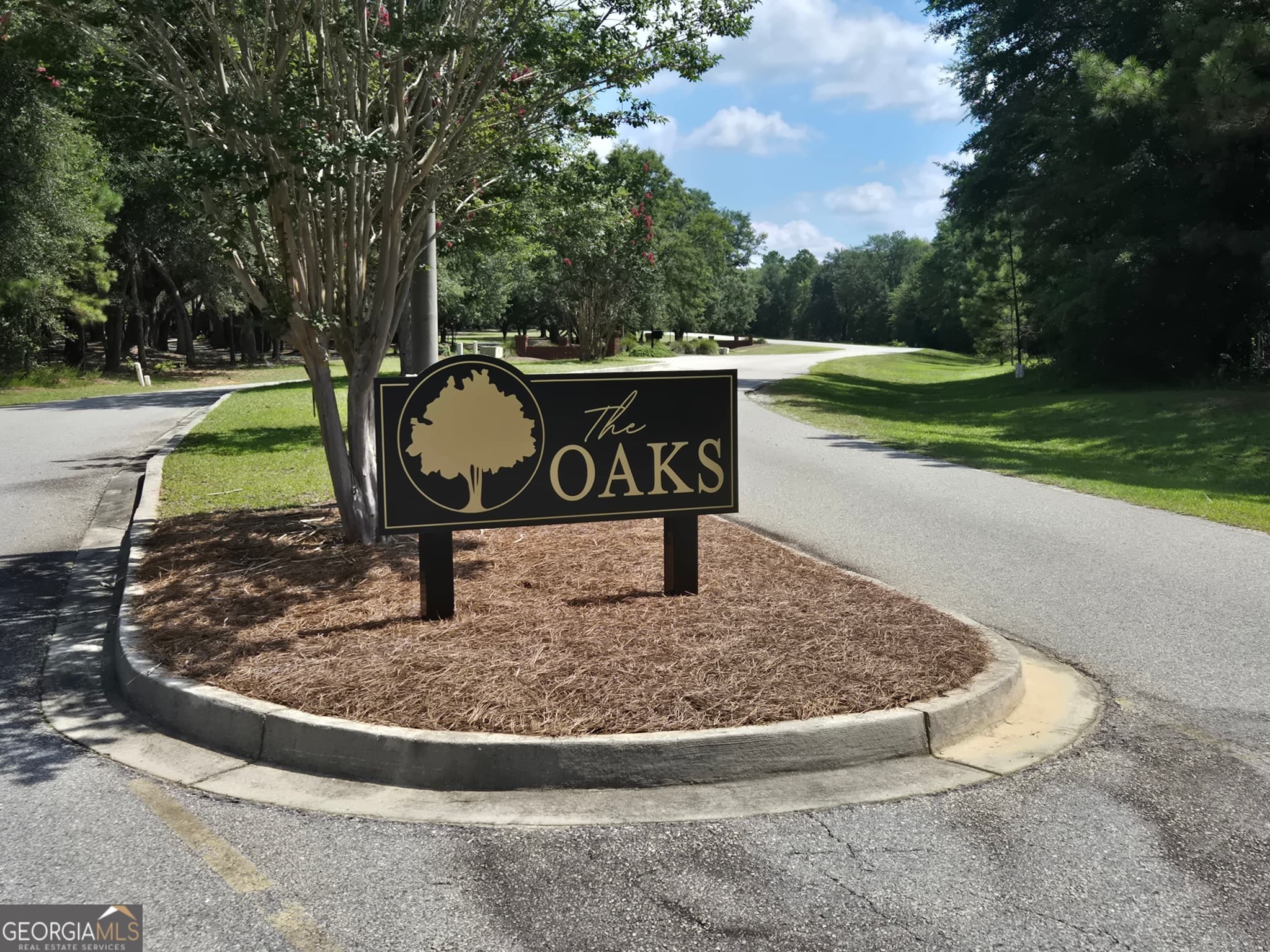 residential lot for sale at 0 Live Oak Drive, Swainsboro, GA 30401 — photo 5