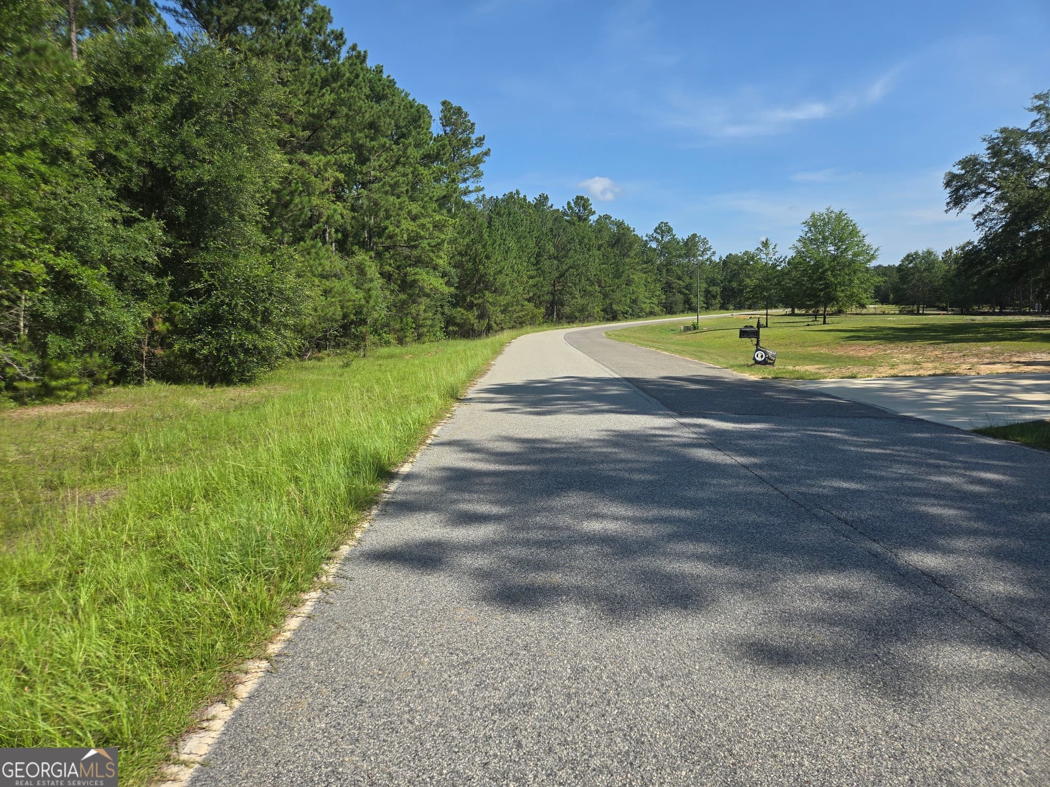 residential lot for sale at 0 Live Oak Drive, Swainsboro, GA 30401 — photo 9