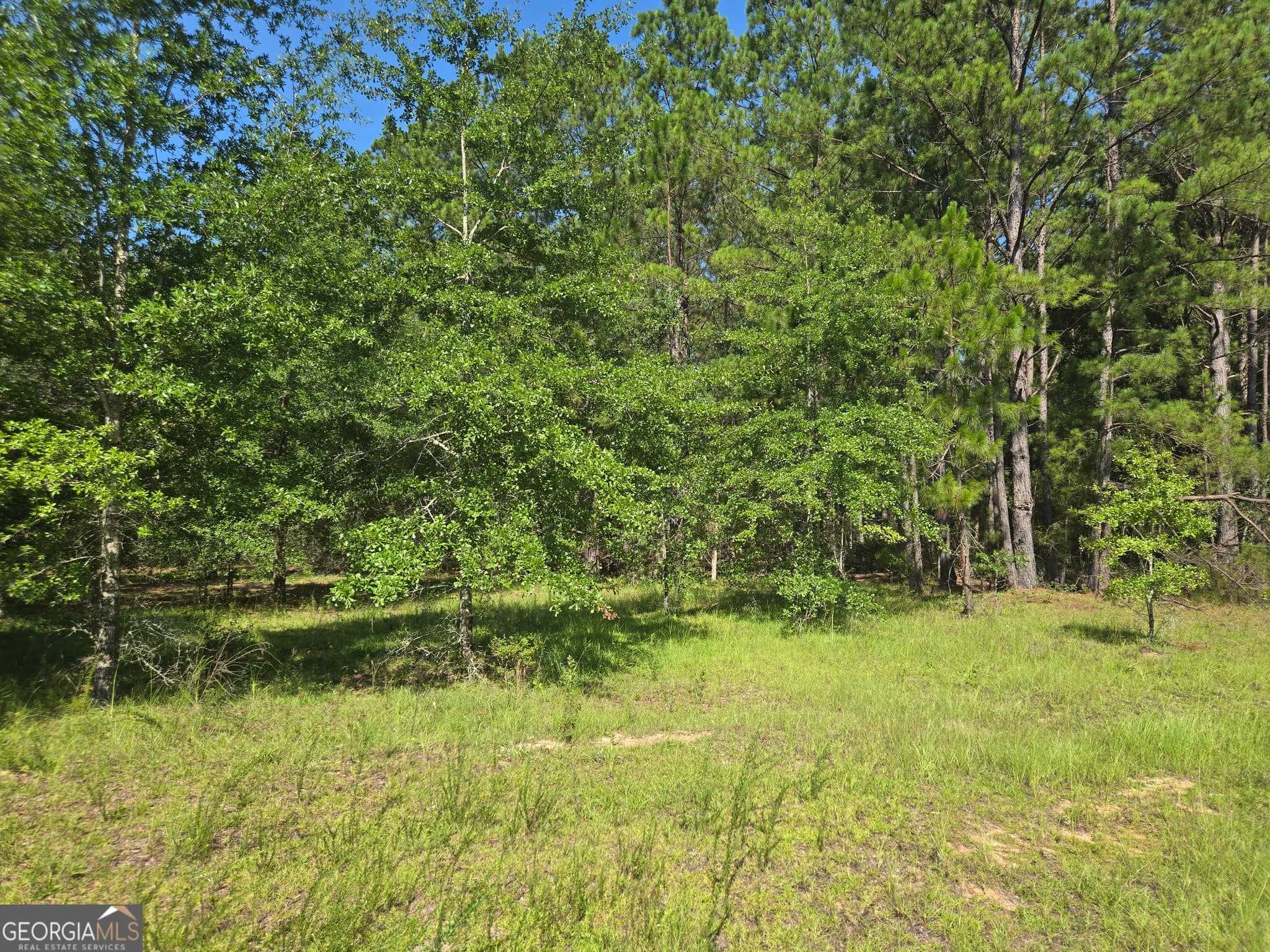 residential lot for sale at 0 Live Oak Drive, Swainsboro, GA 30401 — photo 8