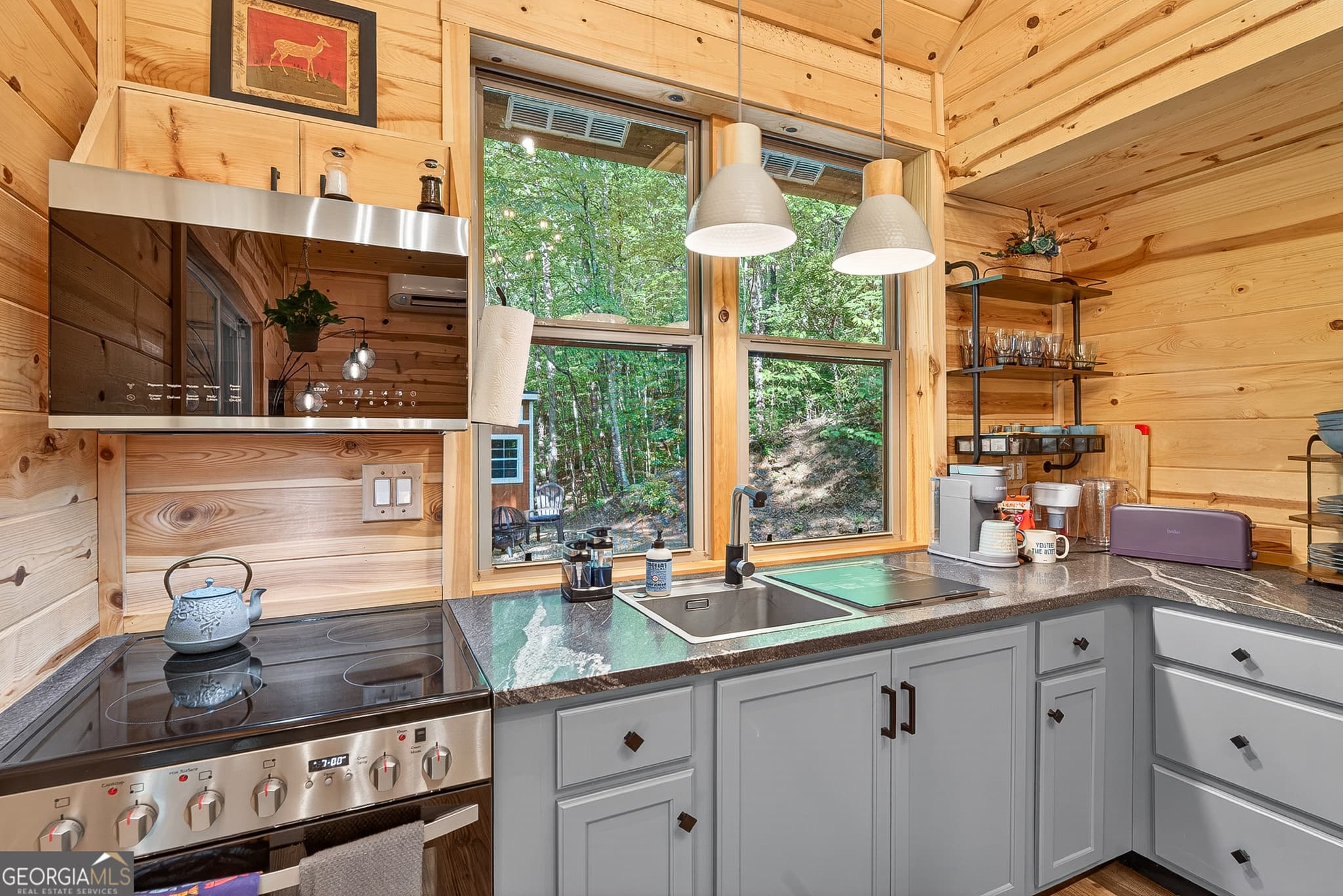 1 bedroom, 1 bathroom, 376 sq ft cabin,single family residence for sale at 93 Martin Crossing, Cherry Log, GA 30522 — photo 7