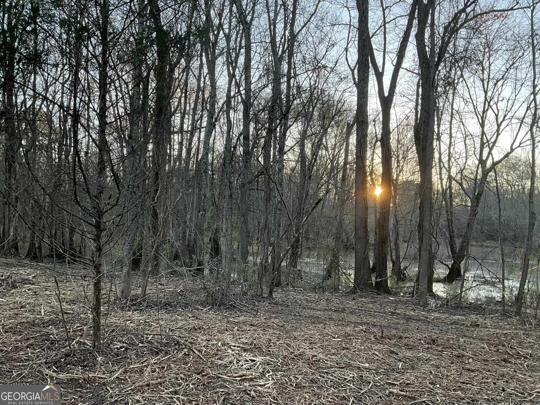 unimproved land for sale at 4946 Fayetteville Road, Griffin, GA 30223 — photo 2