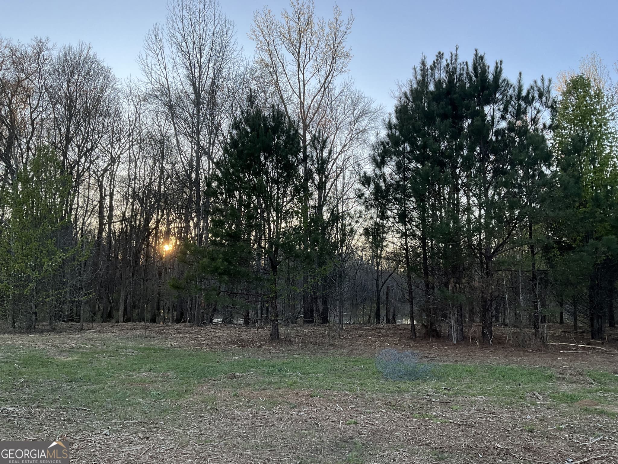unimproved land for sale at 4946 Fayetteville Road, Griffin, GA 30223 — photo 6