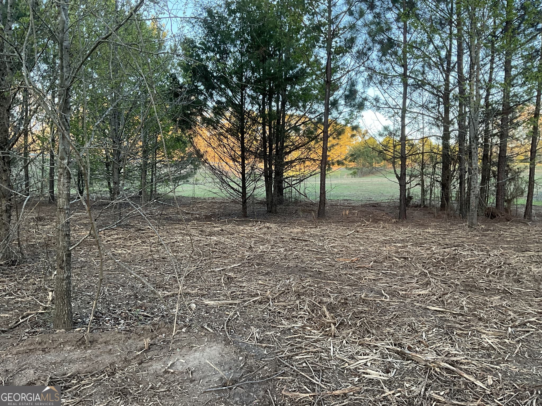 unimproved land for sale at 4946 Fayetteville Road, Griffin, GA 30223 — photo 7