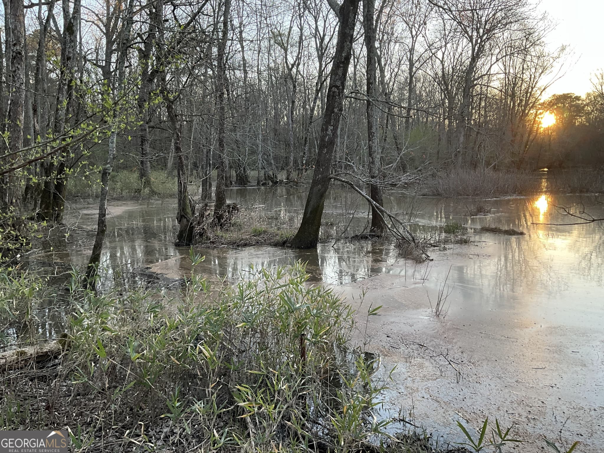 unimproved land for sale at 4946 Fayetteville Road, Griffin, GA 30223 — photo 3
