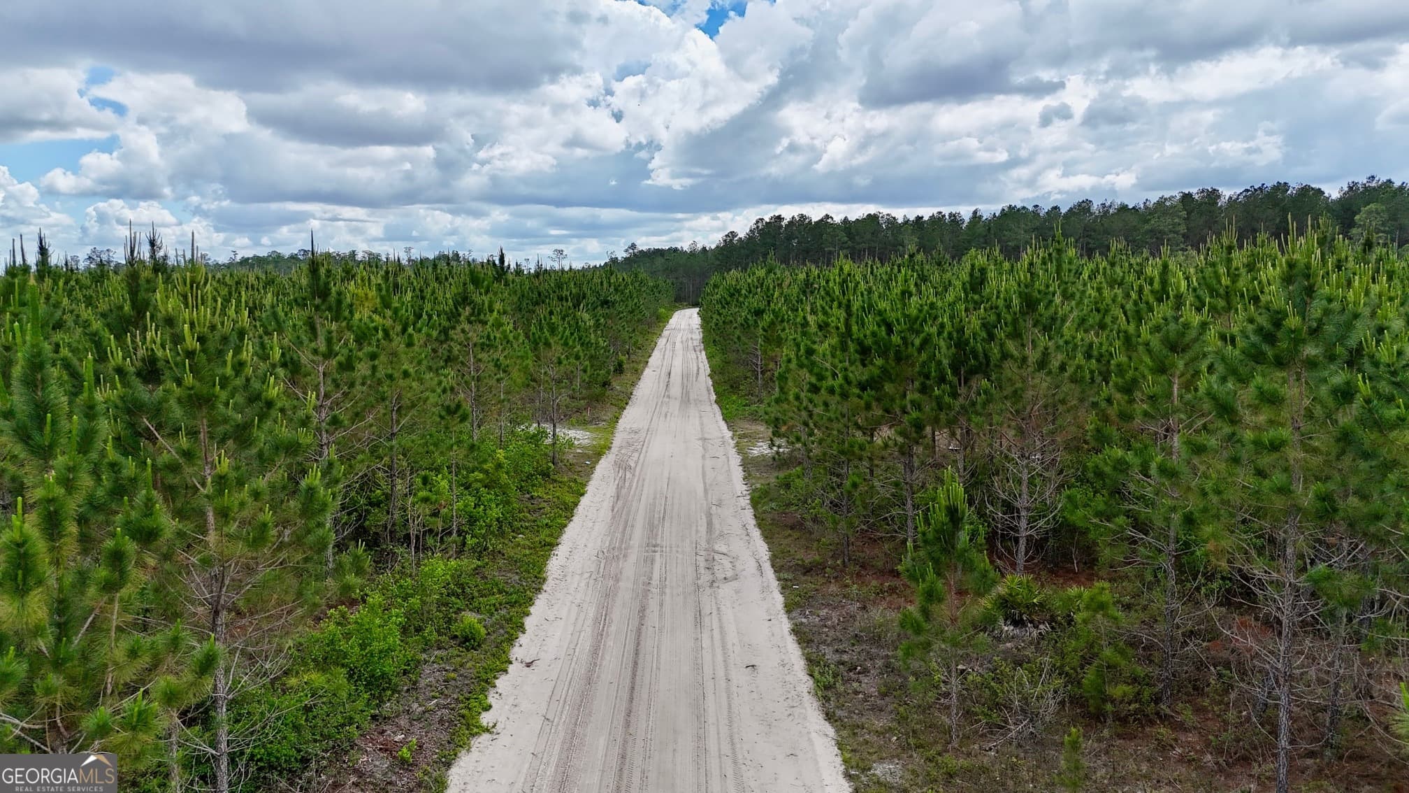 agriculture for sale at 17 AC Owens Road, Odum, GA 31555 — photo 2