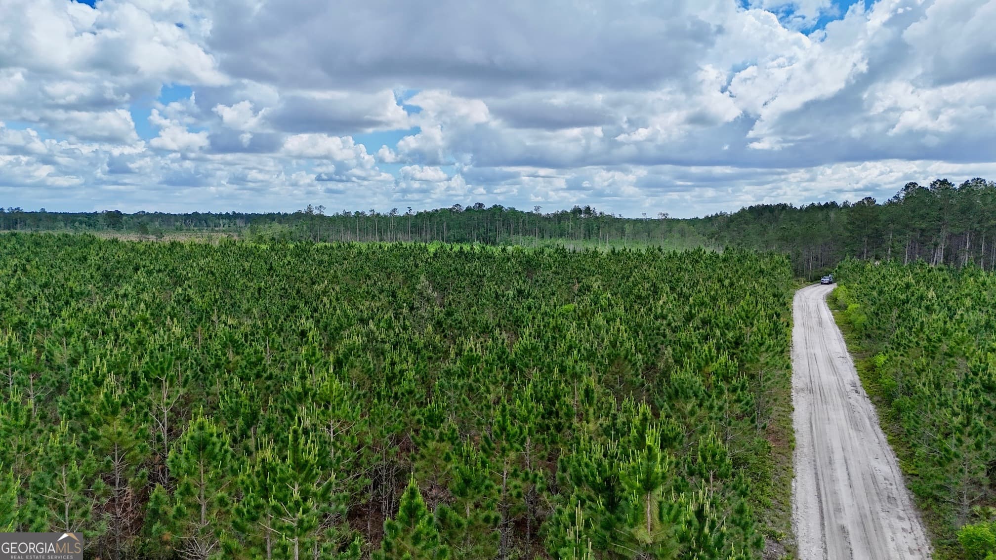 agriculture for sale at 17 AC Owens Road, Odum, GA 31555 — photo 3