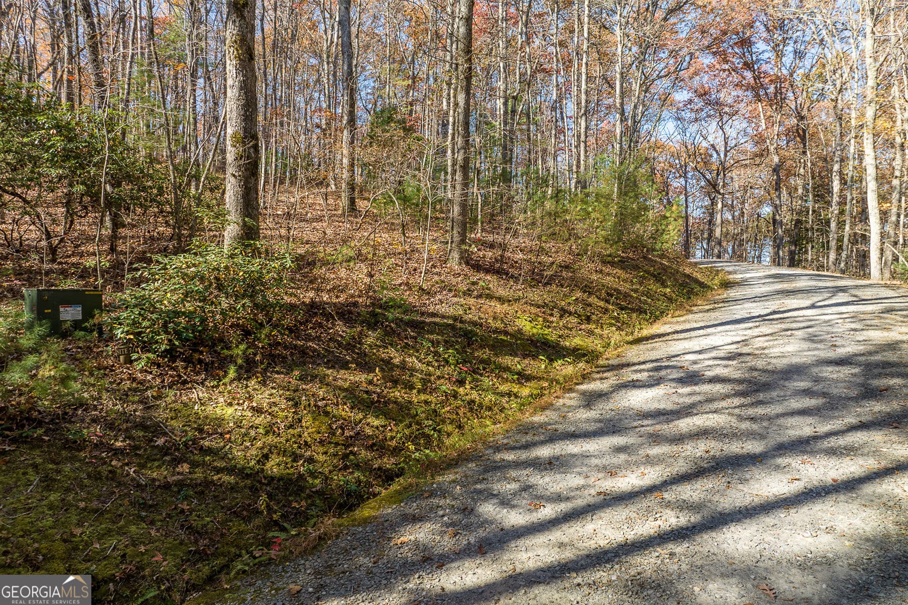 unimproved land for sale at LOT 7 Joseph Anderson Trail, Ellijay, GA 30536 — photo 2