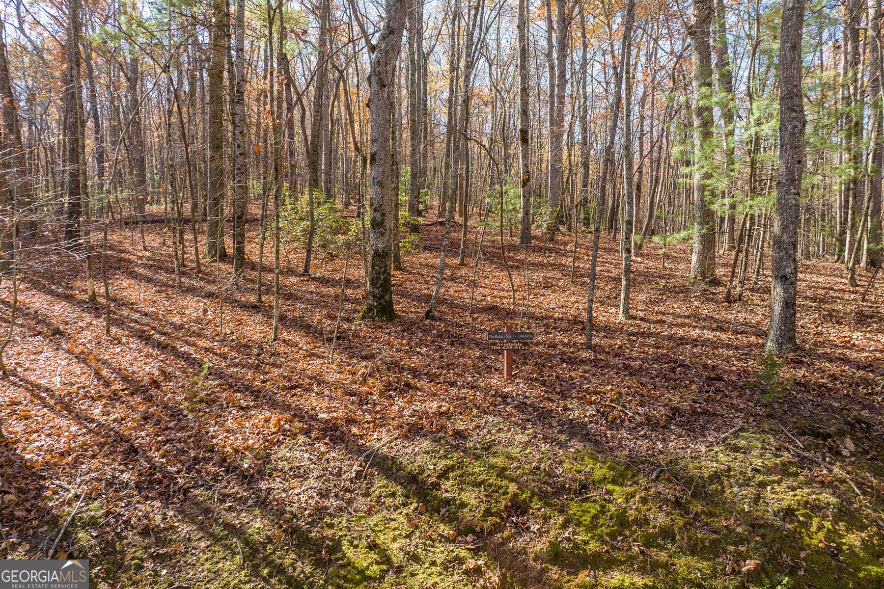 unimproved land for sale at LOT 7 Joseph Anderson Trail, Ellijay, GA 30536 — photo 6