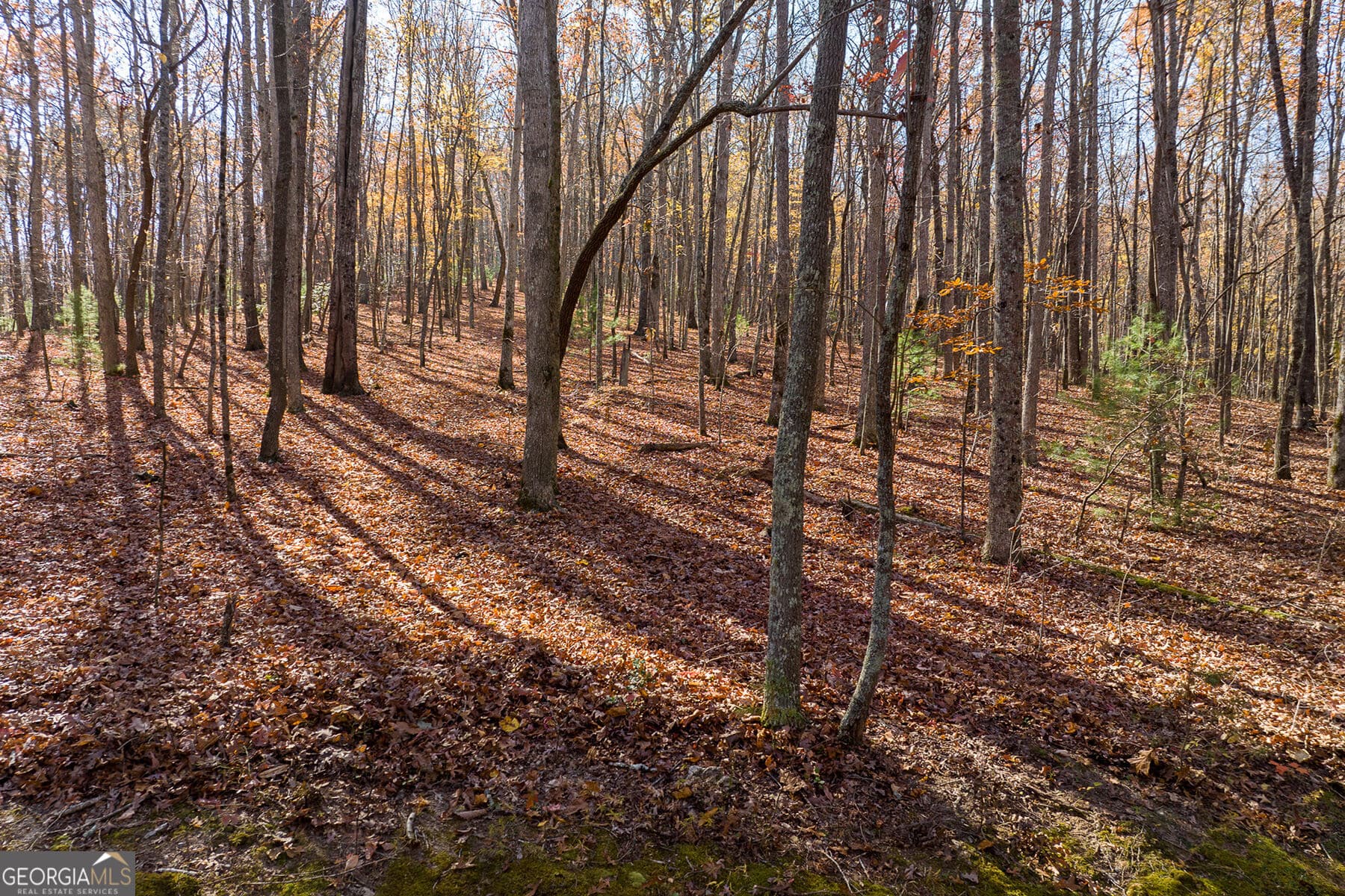 unimproved land for sale at LOT 7 Joseph Anderson Trail, Ellijay, GA 30536 — photo 7