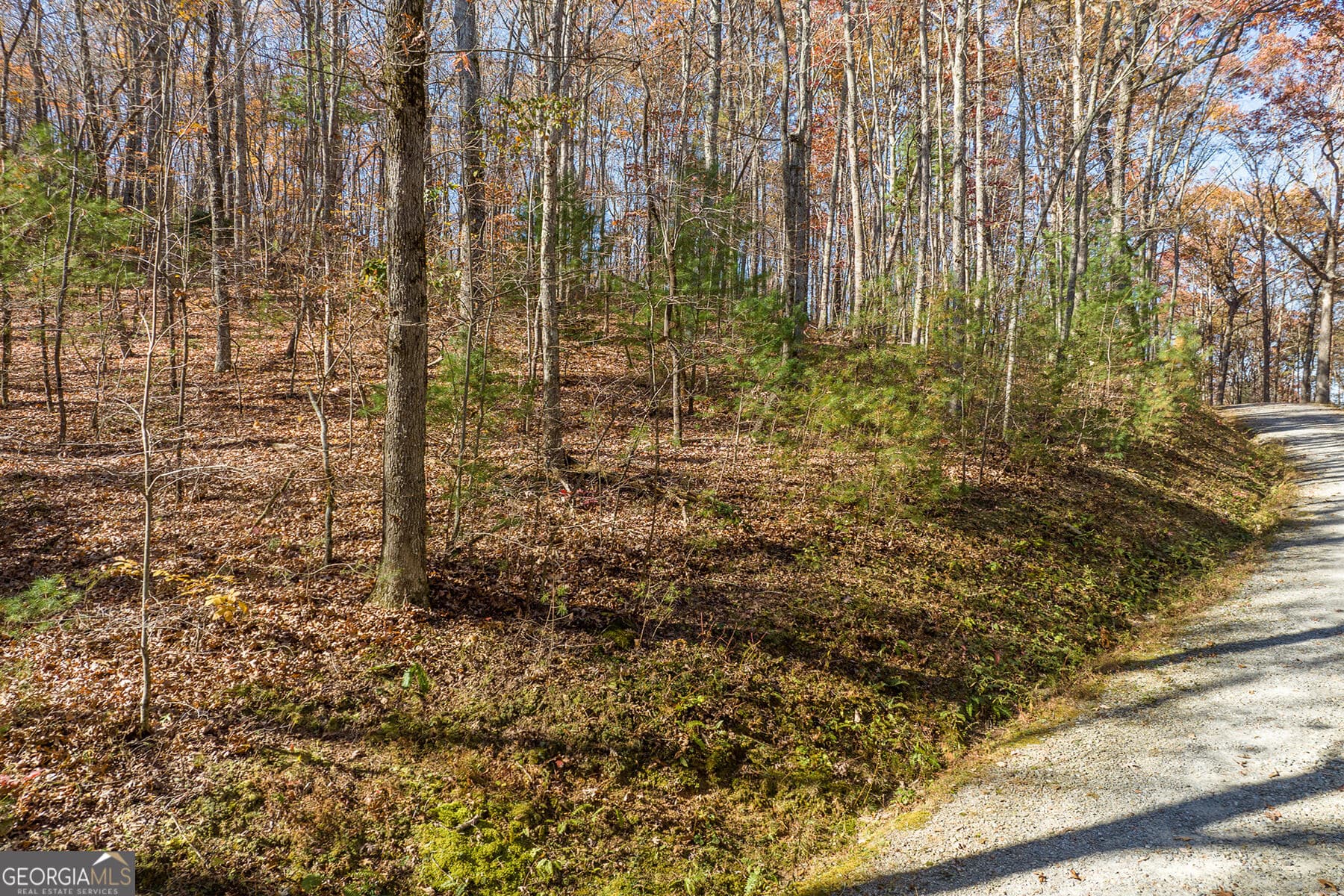unimproved land for sale at LOT 7 Joseph Anderson Trail, Ellijay, GA 30536 — photo 3