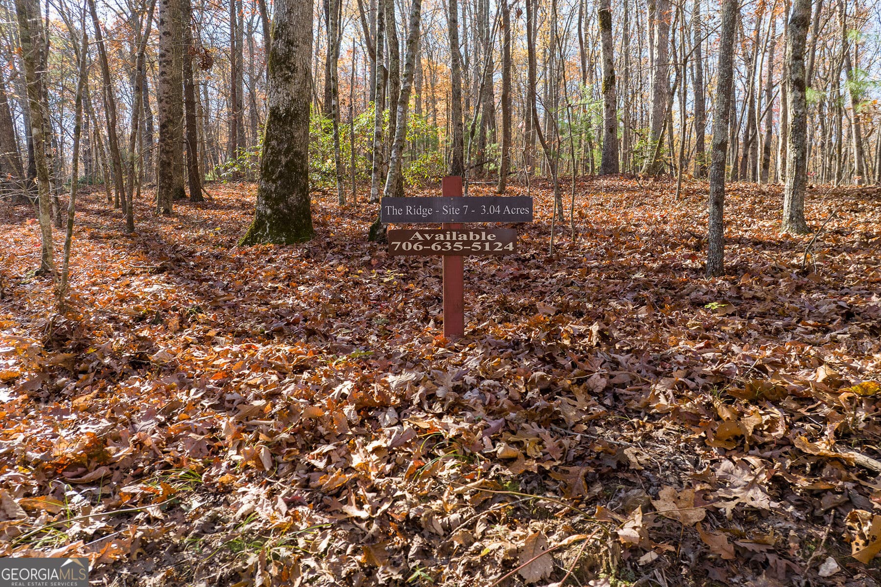 unimproved land for sale at LOT 7 Joseph Anderson Trail, Ellijay, GA 30536 — photo 1 of 20