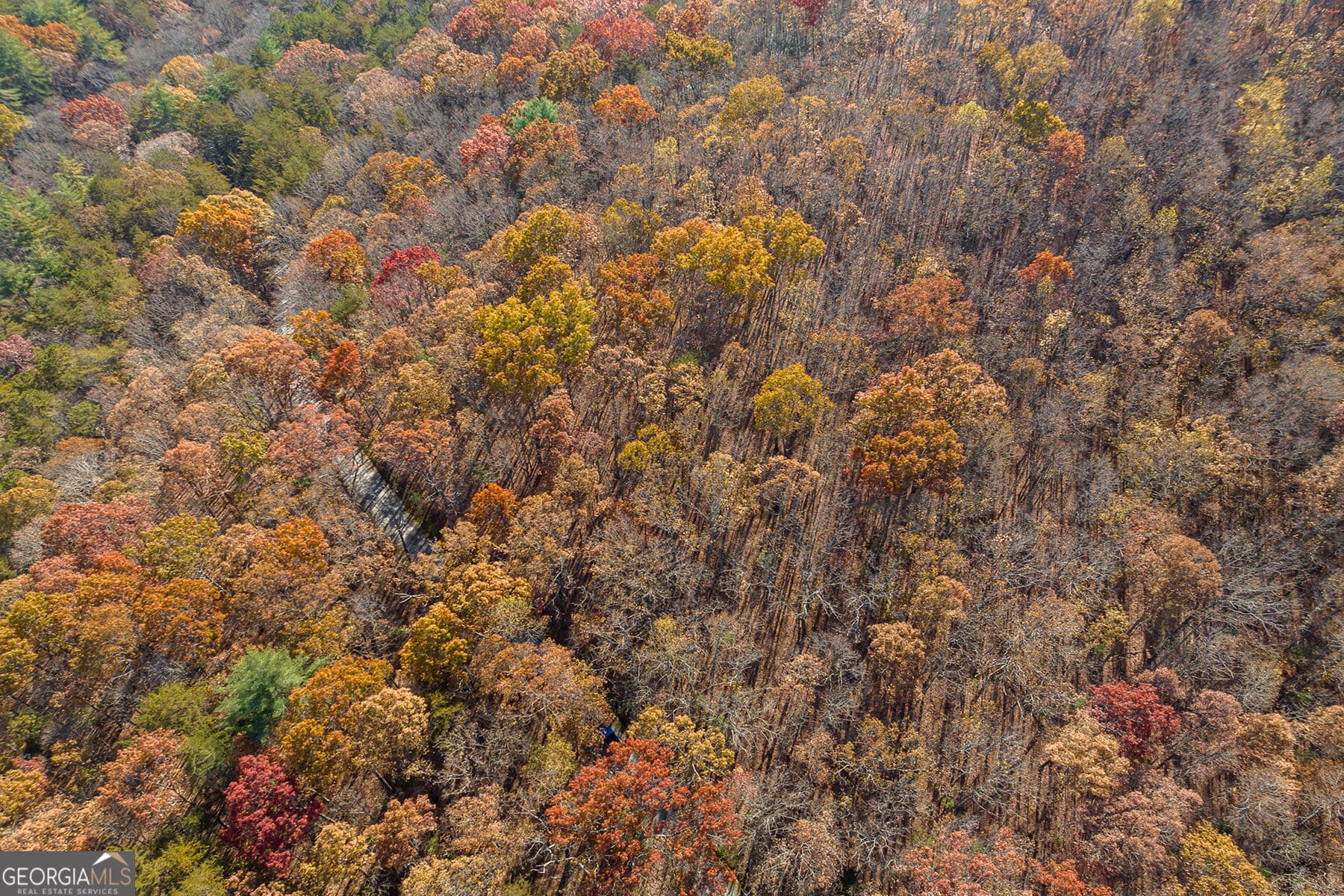 unimproved land for sale at LOT 7 Joseph Anderson Trail, Ellijay, GA 30536 — photo 9