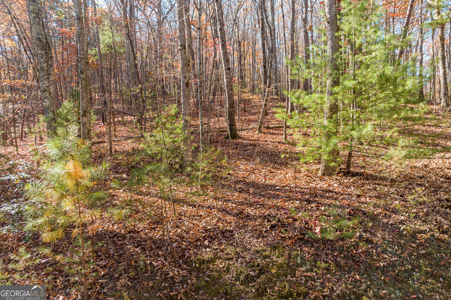 unimproved land for sale at LOT 7 Joseph Anderson Trail, Ellijay, GA 30536 — photo 4