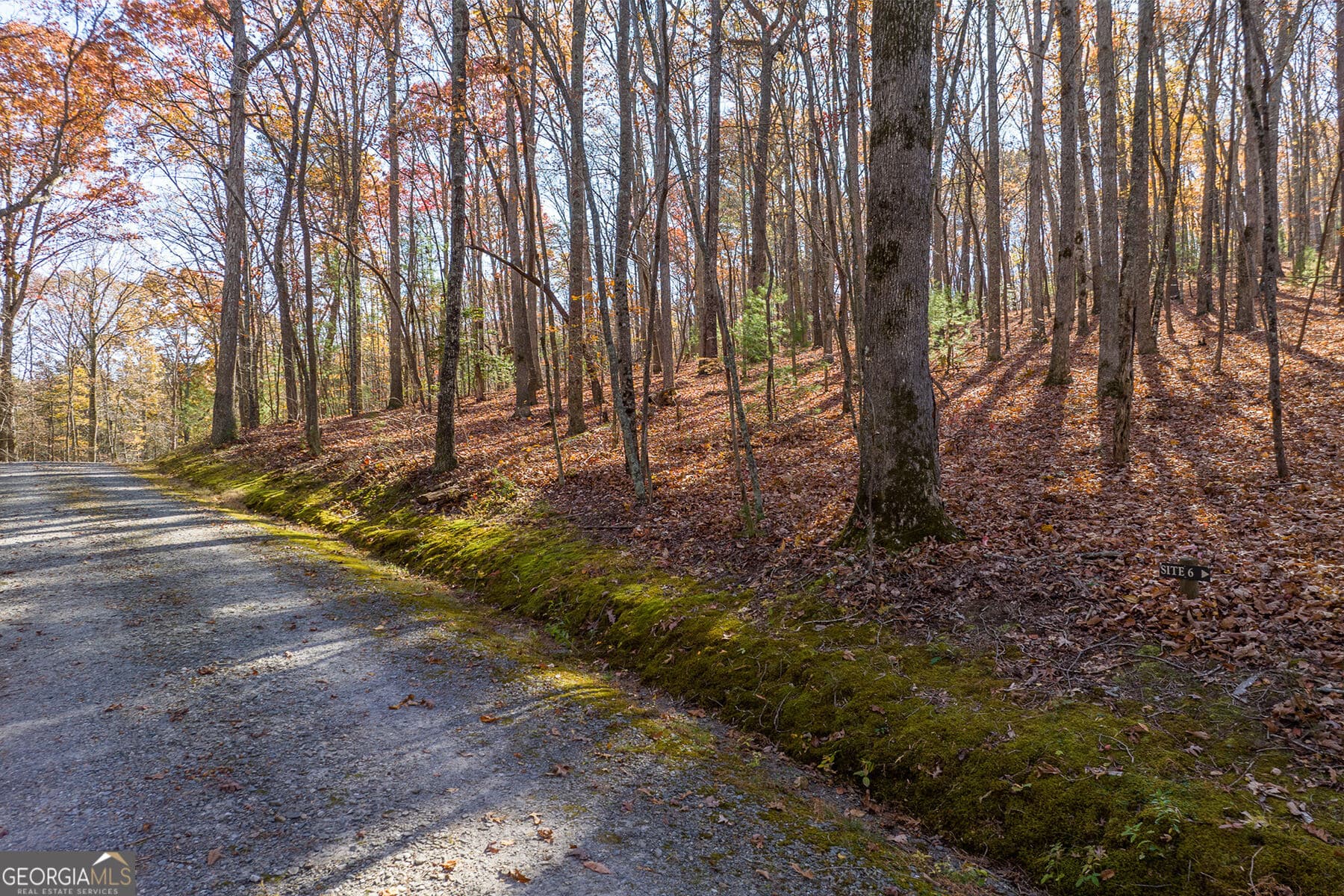 unimproved land for sale at LOT 7 Joseph Anderson Trail, Ellijay, GA 30536 — photo 8