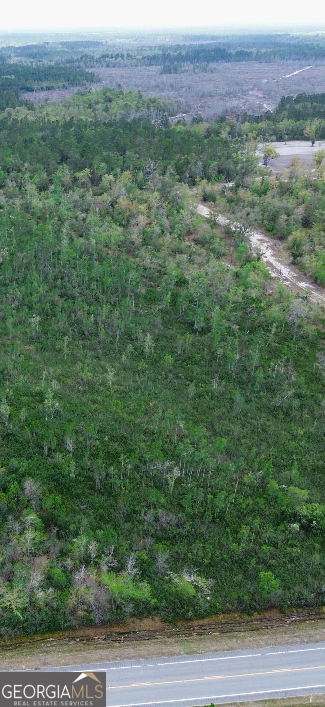 unimproved land for sale at 0 Hwy 204 Highway, Ellabell, GA 31308 — photo 2