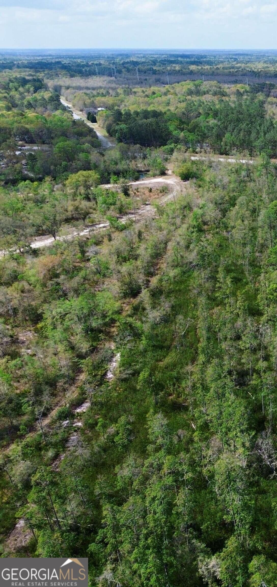 unimproved land for sale at 0 Hwy 204 Highway, Ellabell, GA 31308 — photo 6