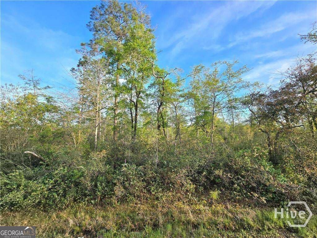 unimproved land for sale at 0 Hwy 204 Highway, Ellabell, GA 31308 — photo 7