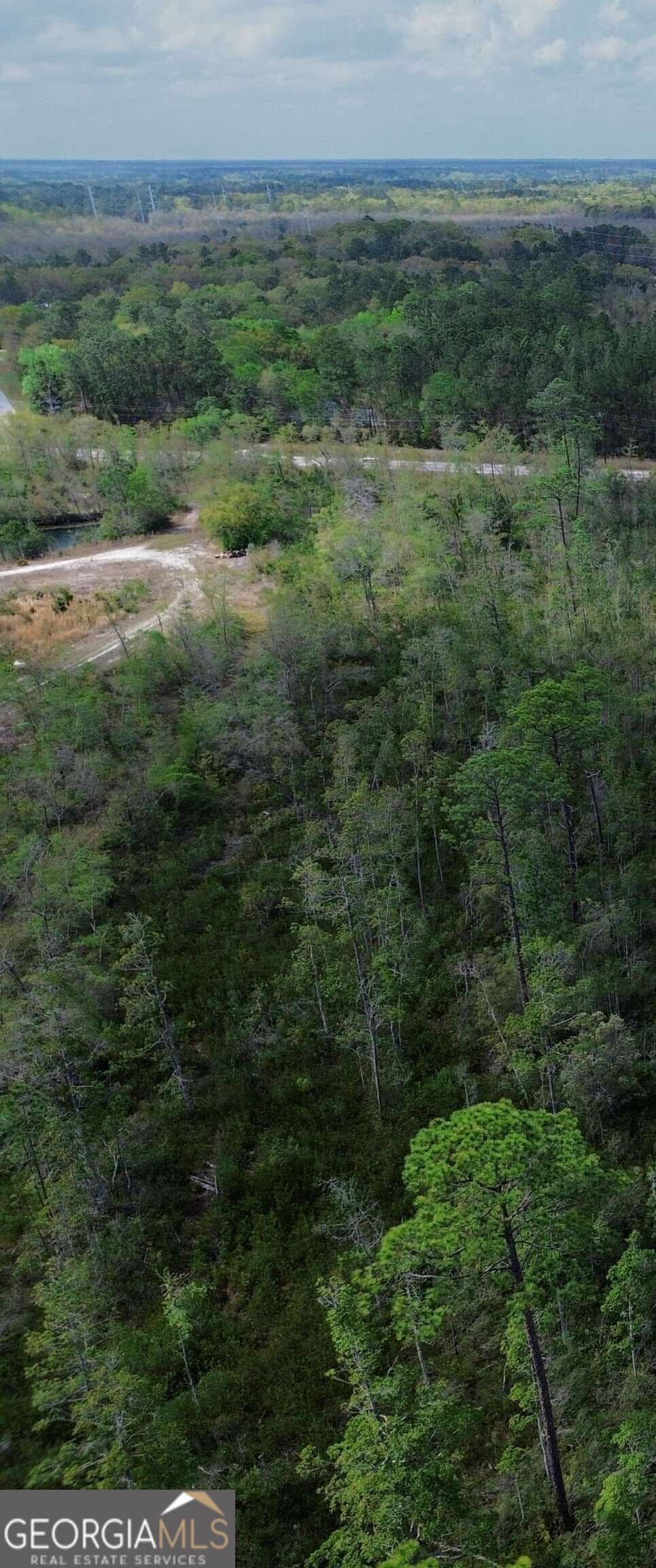 unimproved land for sale at 0 Hwy 204 Highway, Ellabell, GA 31308 — photo 3