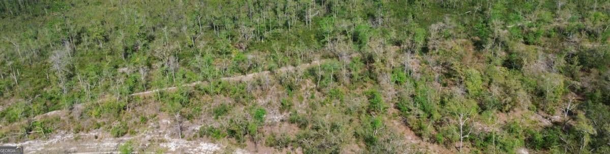 unimproved land for sale at 0 Hwy 204 Highway, Ellabell, GA 31308 — photo 5