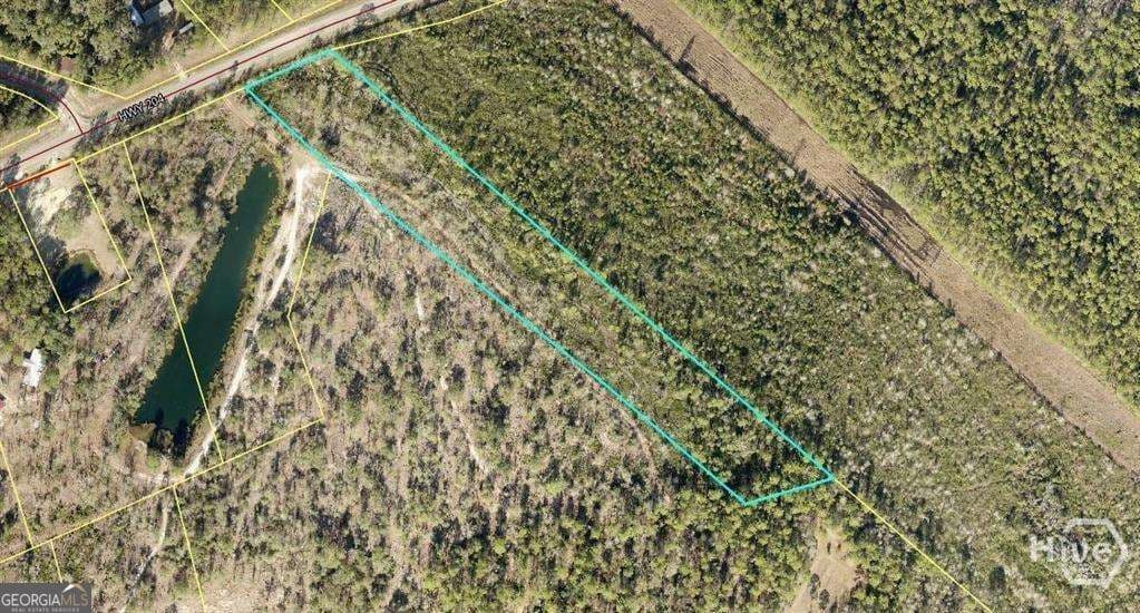 unimproved land for sale at 0 Hwy 204 Highway, Ellabell, GA 31308 — photo 9