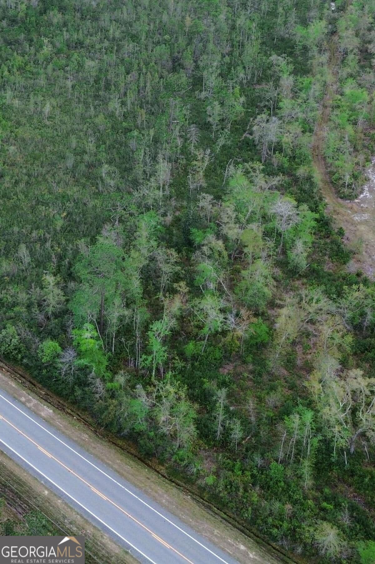 unimproved land for sale at 0 Hwy 204 Highway, Ellabell, GA 31308 — photo 4