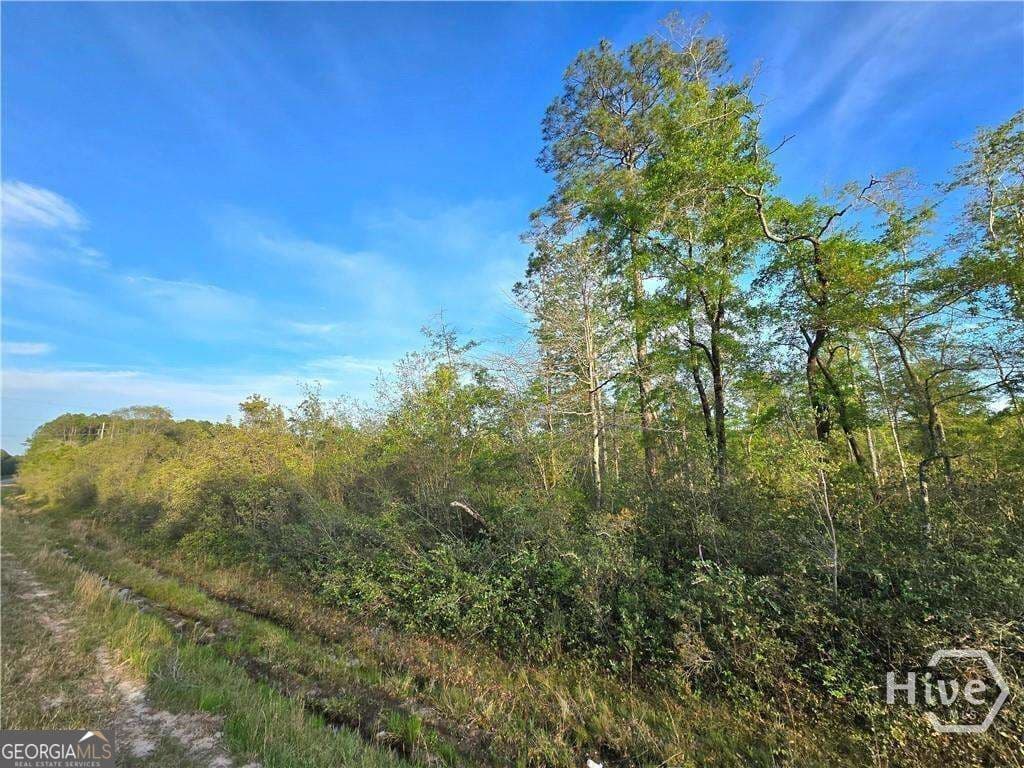 unimproved land for sale at 0 Hwy 204 Highway, Ellabell, GA 31308 — photo 8
