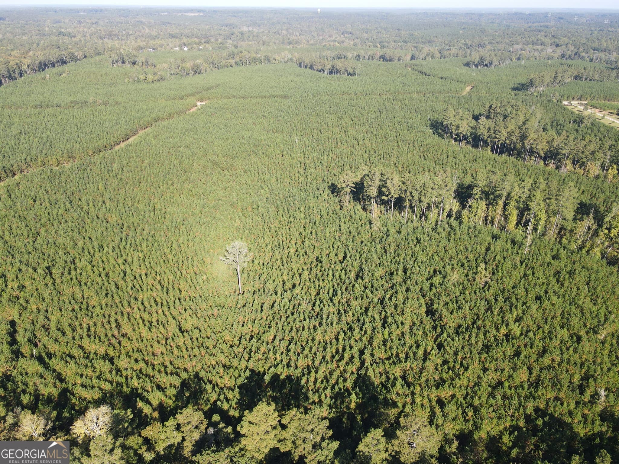 unimproved land for sale at 0 Kilpatrick Road TRACT 2C, Eatonton, GA 31024 — photo 2