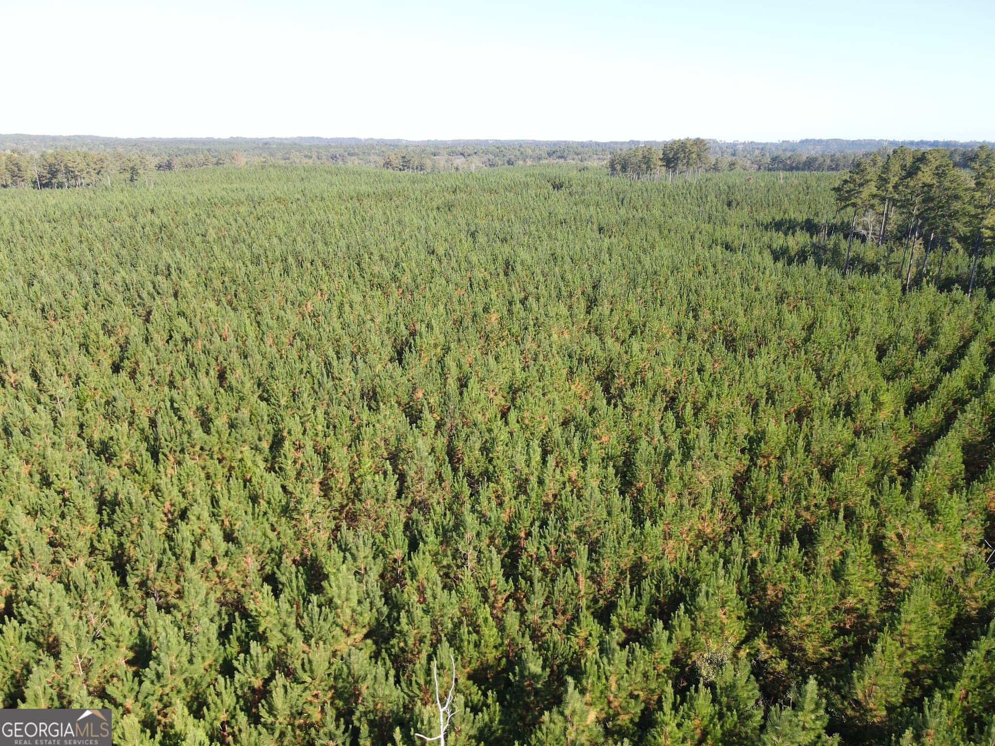 unimproved land for sale at 0 Kilpatrick Road TRACT 2C, Eatonton, GA 31024 — photo 6