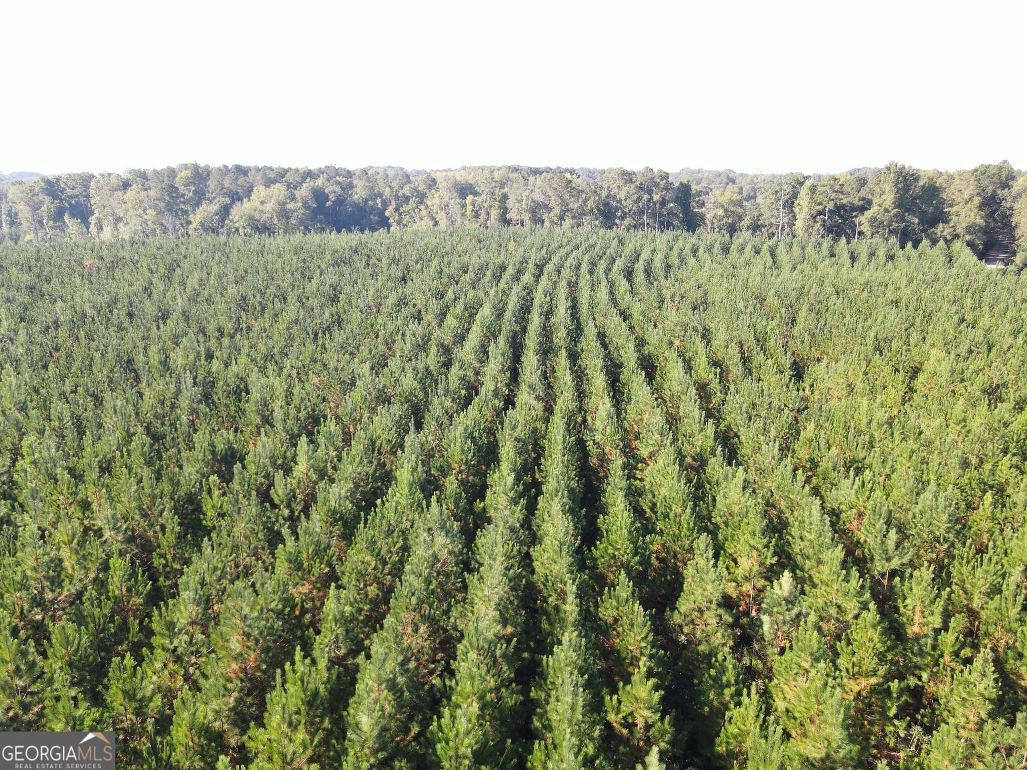 unimproved land for sale at 0 Kilpatrick Road TRACT 2C, Eatonton, GA 31024 — photo 7