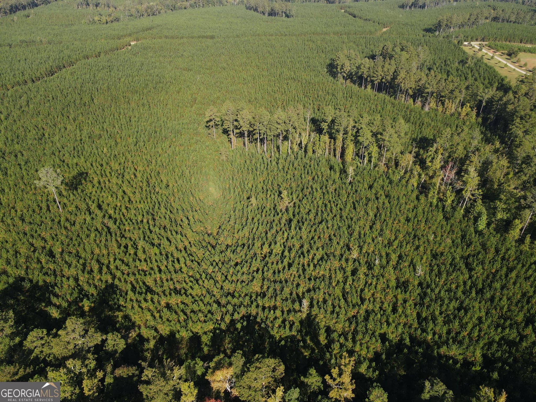unimproved land for sale at 0 Kilpatrick Road TRACT 2C, Eatonton, GA 31024 — photo 3