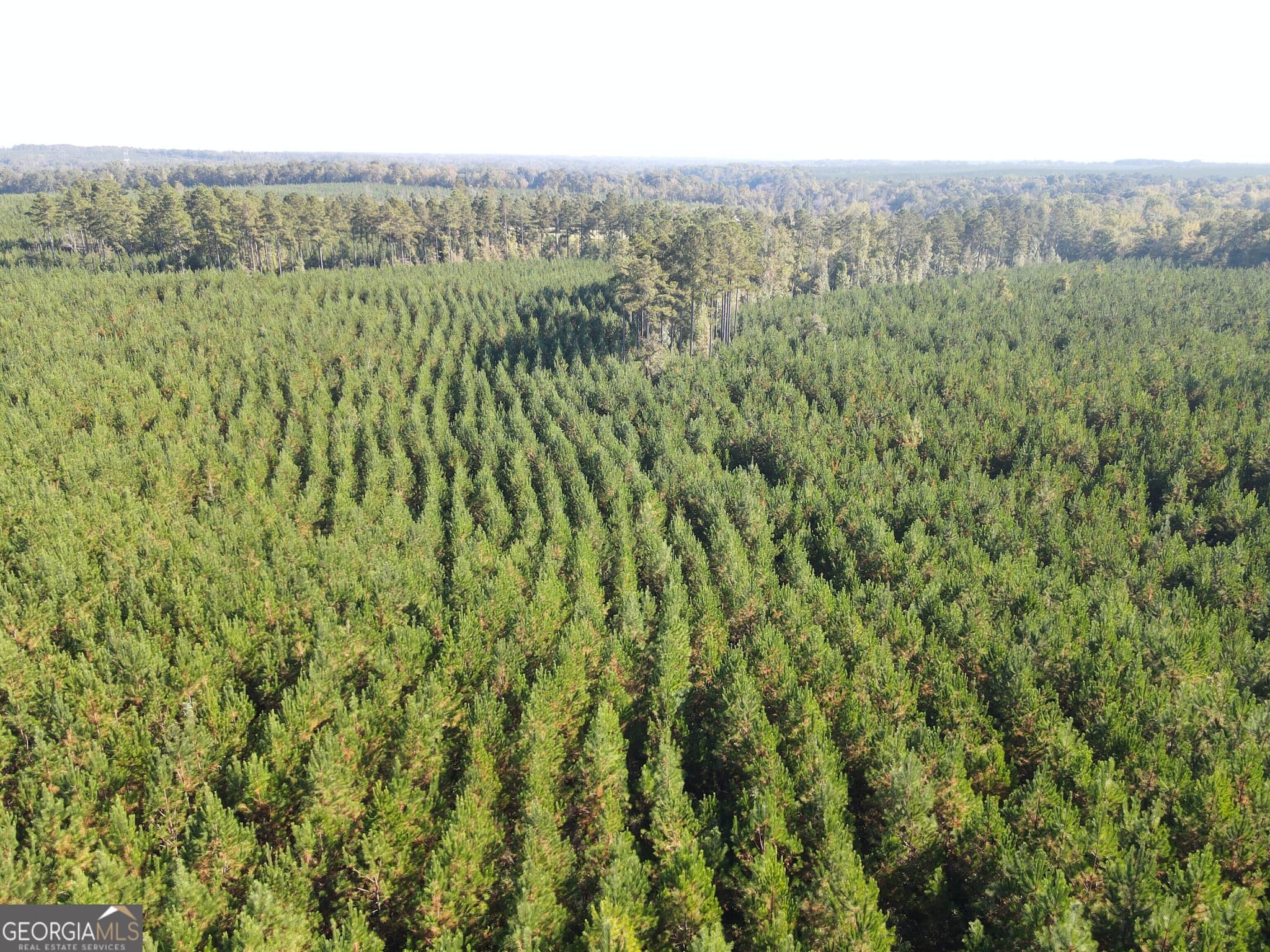 unimproved land for sale at 0 Kilpatrick Road TRACT 2C, Eatonton, GA 31024 — photo 5