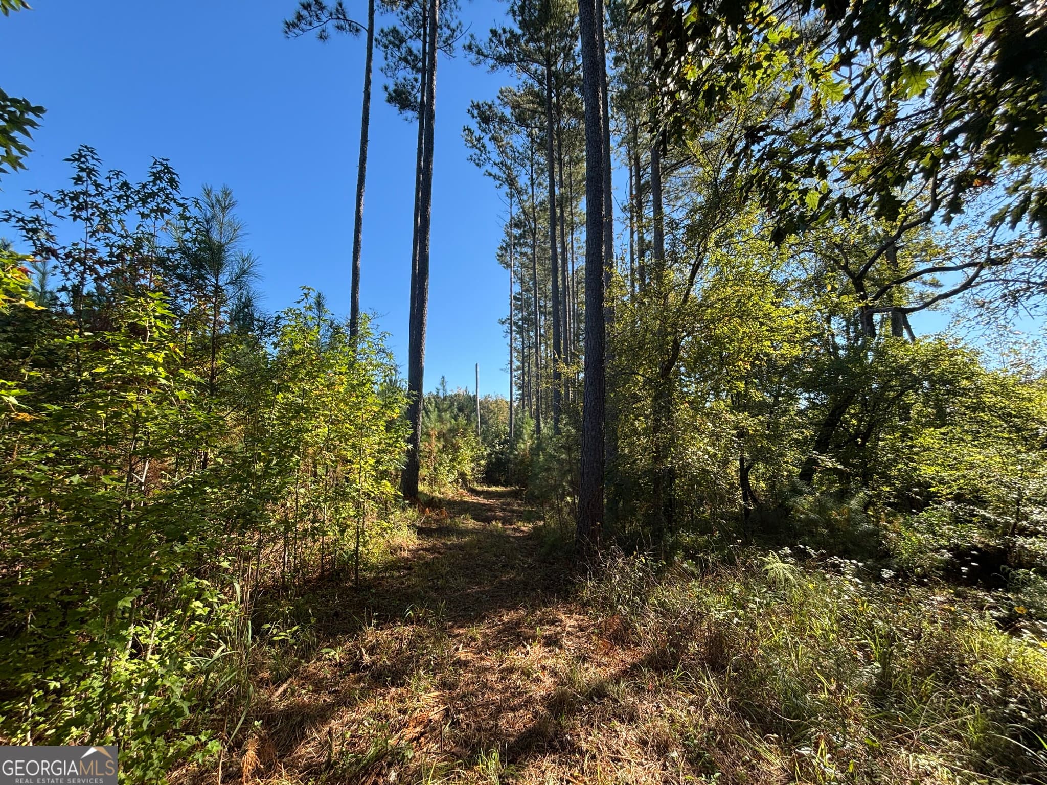 unimproved land for sale at 0 Kilpatrick Road TRACT 2C, Eatonton, GA 31024 — photo 10