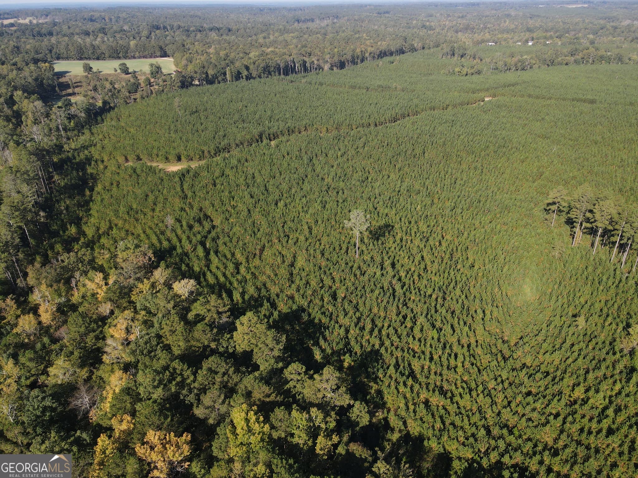unimproved land for sale at 0 Kilpatrick Road TRACT 2C, Eatonton, GA 31024 — photo 4