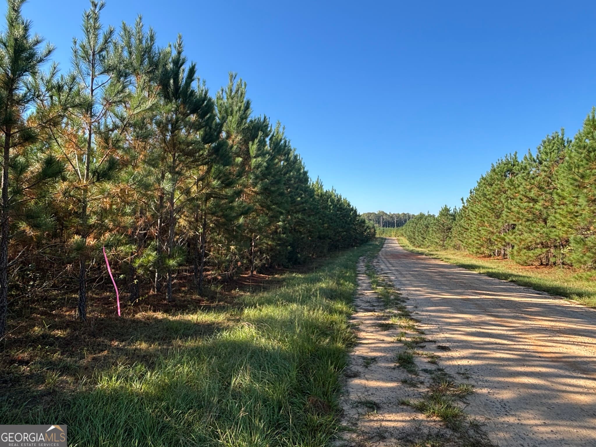 unimproved land for sale at 0 Kilpatrick Road TRACT 2C, Eatonton, GA 31024 — photo 8