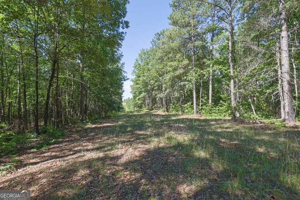 agriculture for sale at 231 Lower Lovelace Road, West Point, GA 31833 — photo 6
