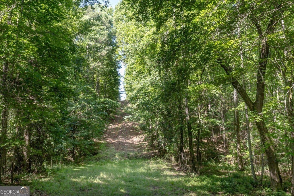 agriculture for sale at 231 Lower Lovelace Road, West Point, GA 31833 — photo 7