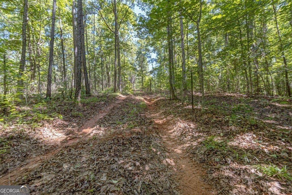 agriculture for sale at 231 Lower Lovelace Road, West Point, GA 31833 — photo 5