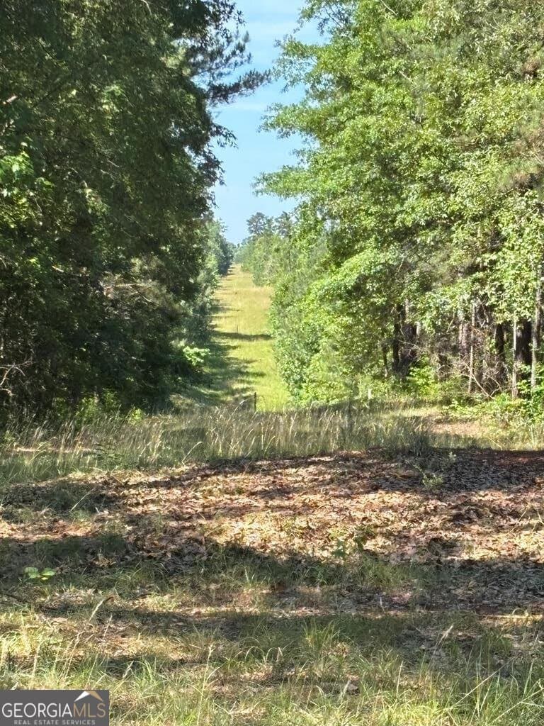 agriculture for sale at 231 Lower Lovelace Road, West Point, GA 31833 — photo 8